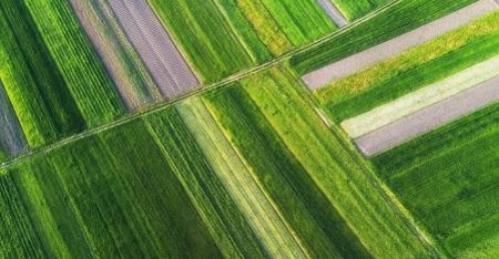 Aeriel view of fields